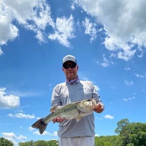 Meet your Posher, Alan